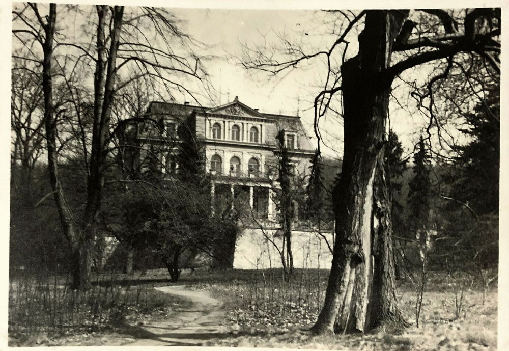 Wachwitzer Weinberg 1