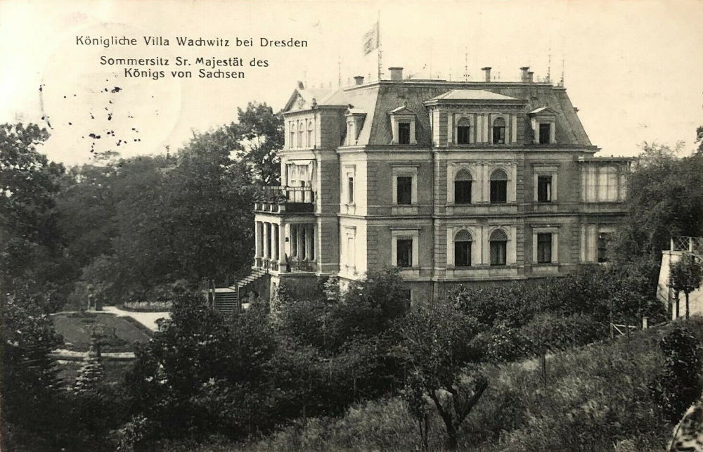 Wachwitzer Weinberg 1