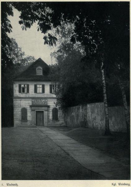 Wachwitzer Weinberg 2