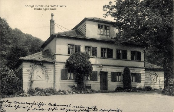 Wachwitzer Weinberg 4