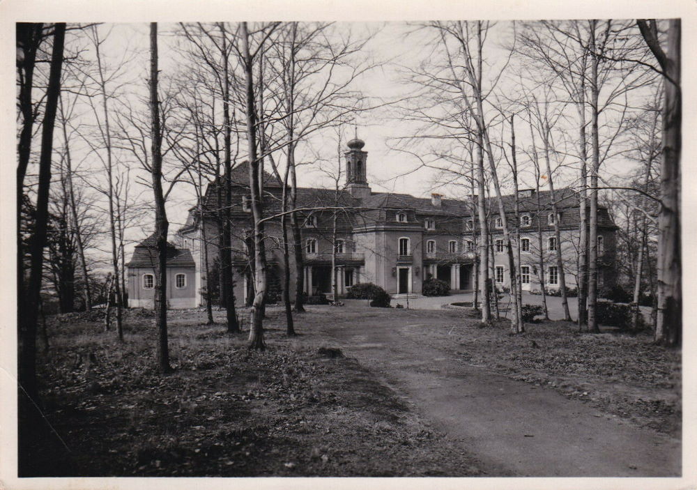 Wachwitzer Weinberg 15
