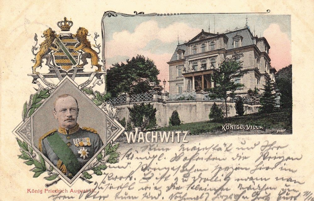 Wachwitzer Weinberg 1