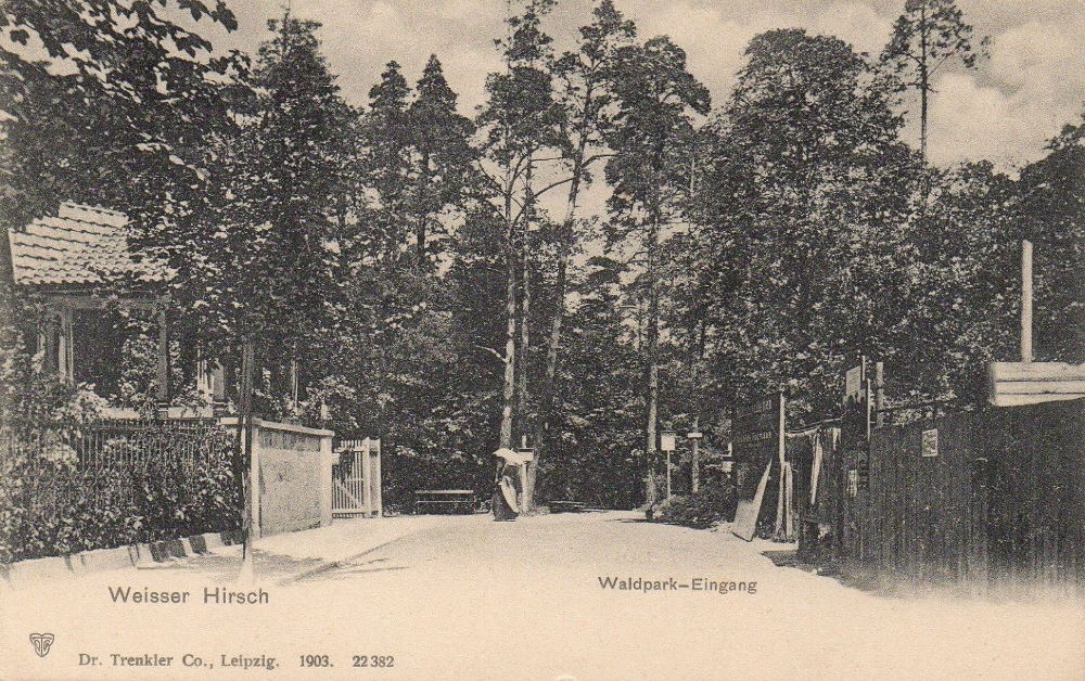 Diebsteig