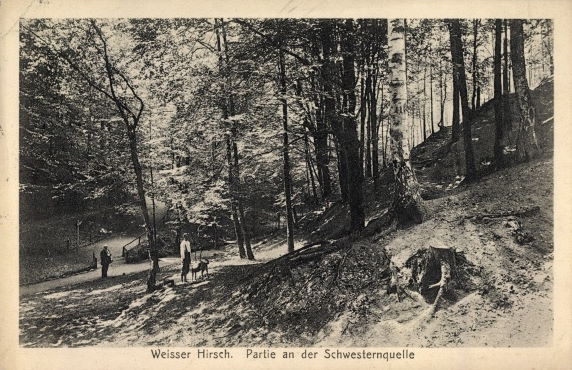 Stechgrund